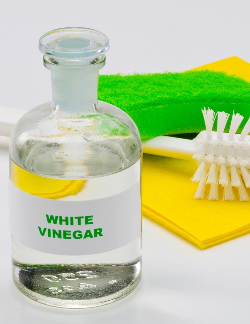 Vinegar Market Analysis, Size, and Forecast 2025-2029: North America (US), Europe (France, Germany, Italy, and UK), Middle East and Africa (UAE), APAC (China, India, Japan, and South Korea), South America (Brazil), and Rest of World (ROW)