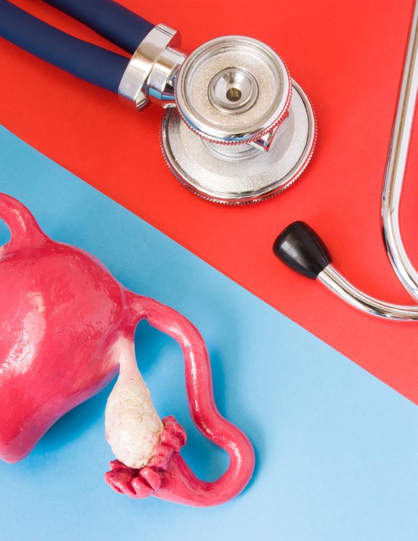 Female Sexual Dysfunction Treatment Market Analysis, Size, and Forecast 2025-2029: North America (US and Canada), Europe (France, Germany, Italy, UK), Middle East and Africa , APAC (China, India, Japan, South Korea), South America , and Rest of World (ROW)