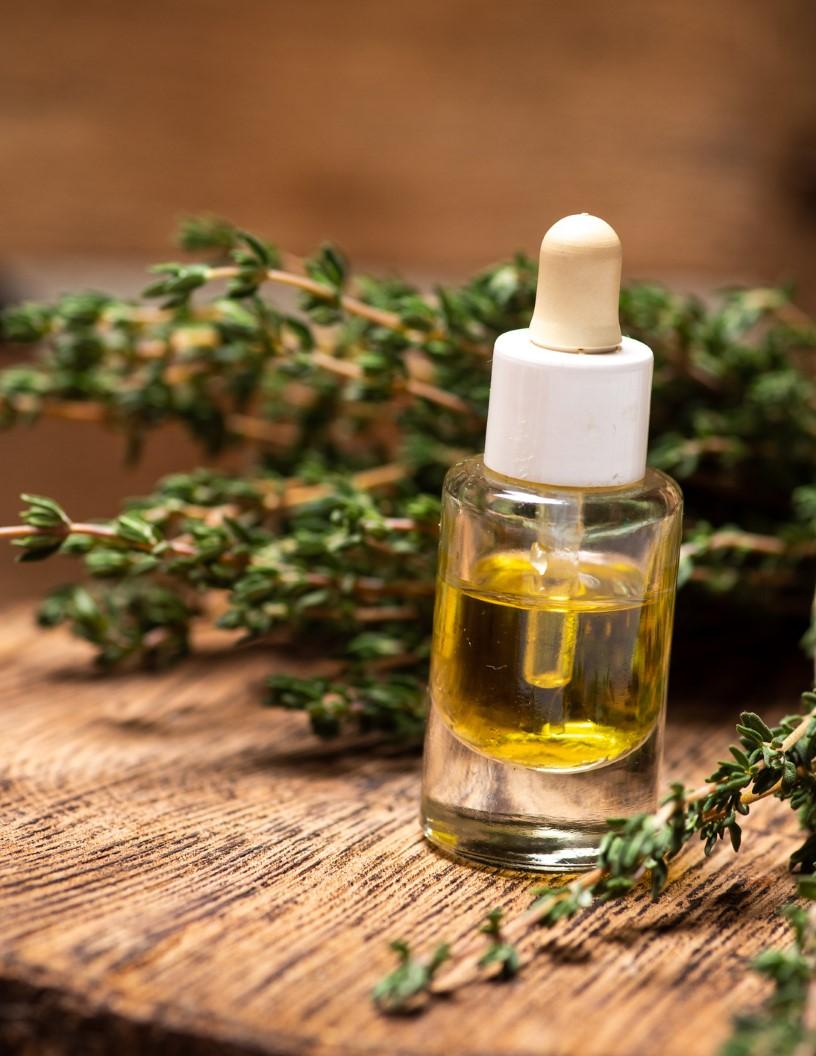 Botanical Extracts Market Analysis, Size, and Forecast 2025-2029: North America (US and Canada), Europe (France, Germany, Italy, UK), Middle East and Africa (Egypt, KSA, Oman, UAE), APAC (China, India, Japan), South America (Argentina and Brazil), and Rest of World (ROW)