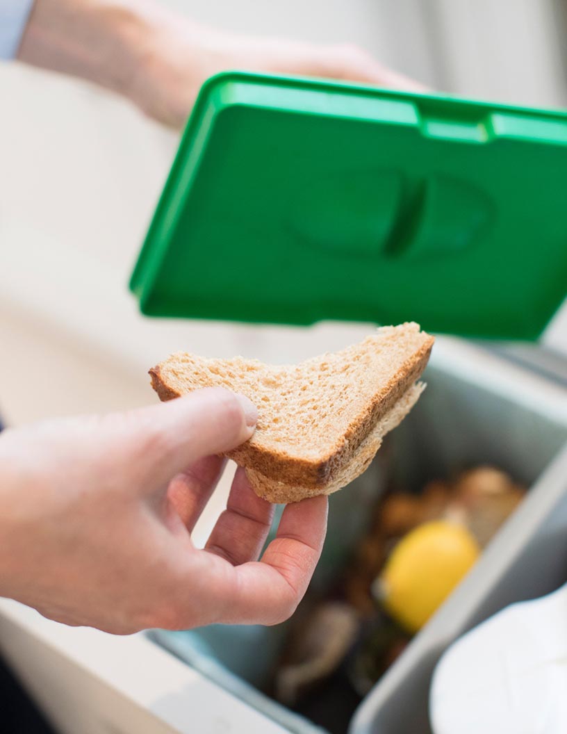 Food Waste Management Market Analysis North America, Europe, APAC, South America, Middle East and Africa - US, China, Germany, Canada, France - Size and Forecast 2024-2028