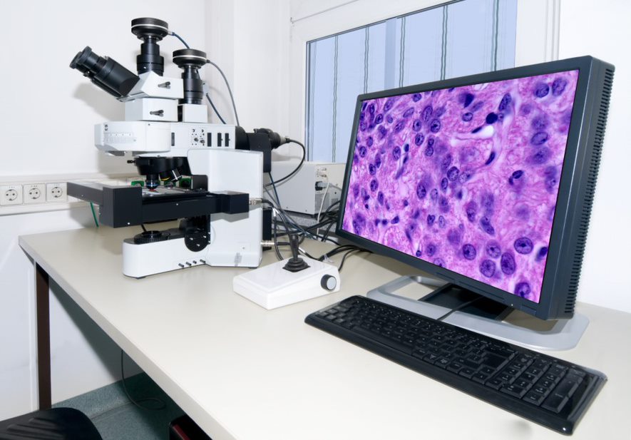 Microscope Digital Cameras Market by Technology, Application, and Geography - Forecast and Analysis 2021-2025