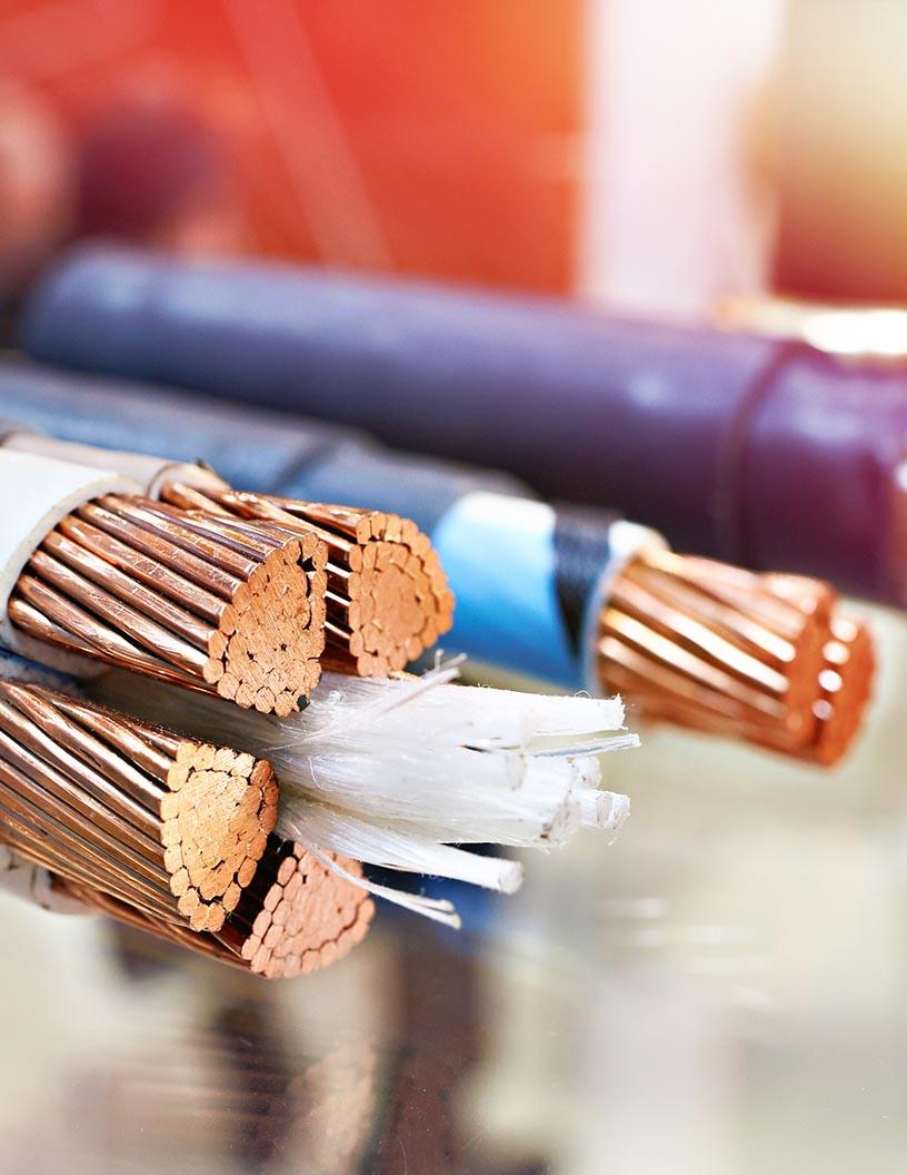 India Electric Wire And Cable Market Analysis, Size, and Forecast 2025-2029