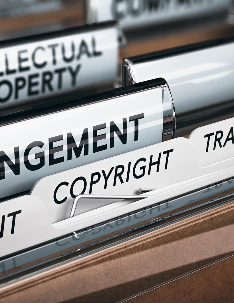 Intellectual Property Software Market Analysis, Size, and Forecast 2025-2029: North America (US and Canada), Europe (France, Germany, and UK), APAC (Australia, China, India, and Japan), South America (Brazil), and Rest of World (ROW)