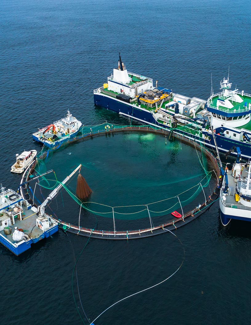 Aquaculture Cages Market Analysis APAC, North America, Europe, South America, Middle East and Africa - China, India, Vietnam, US, Thailand - Size and Forecast 2024-2028