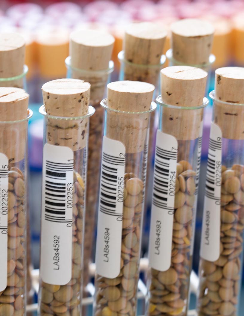 Biobanking Market Analysis, Size, and Forecast 2024-2028: North America (US and Canada), Europe (France, Germany, Italy, and UK), Middle East and Africa (Egypt, KSA, Oman, and UAE), APAC (China, India, and Japan), South America (Argentina and Brazil), and Rest of World (ROW)