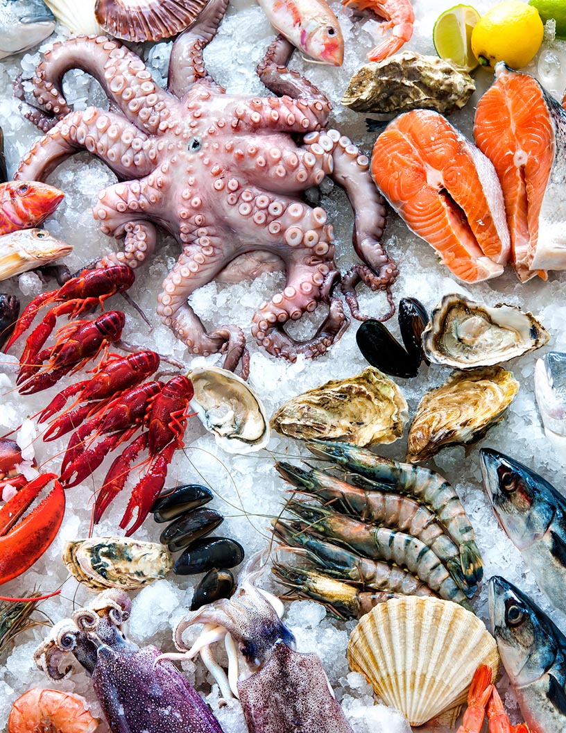 Fresh Fish and Seafood Market Analysis, Size, and Forecast 2024-2028: North America (US and Canada), Europe (France, Germany, Italy, and UK), Middle East and Africa (Egypt, KSA, Oman, and UAE), APAC (China, India, and Japan), South America (Argentina and Brazil), and Rest of World (ROW)