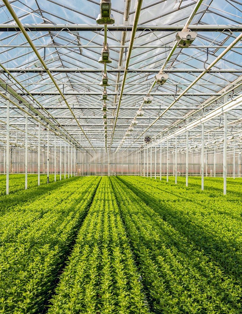 Indoor Farming Technologies Market Analysis, Size, and Forecast 2024-2028: North America (US and Canada), Europe (France, Germany, Italy, and UK), Middle East and Africa (Egypt, KSA, Oman, and UAE), APAC (China, India, and Japan), South America (Argentina and Brazil), and Rest of World (ROW)