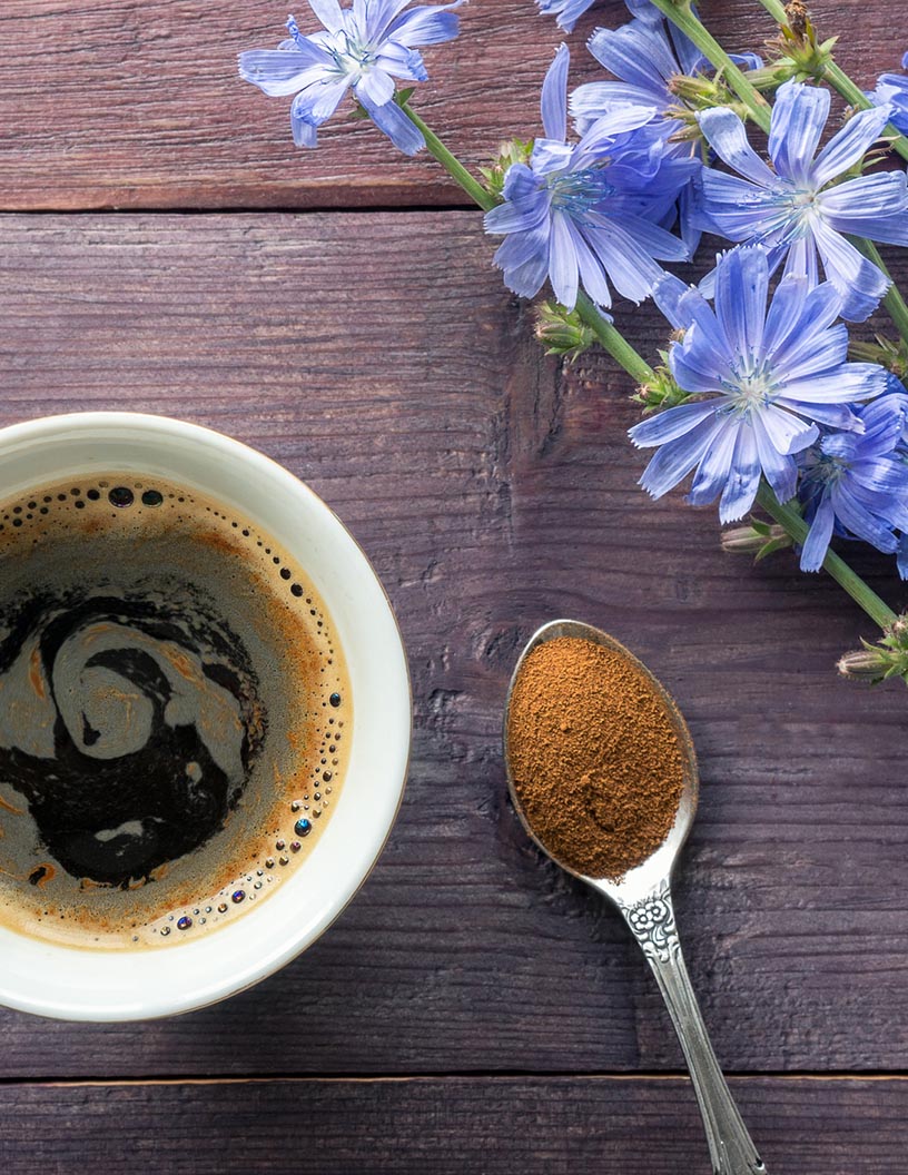 Chicory Market by Application and Geography - Forecast and Analysis 2021-2025