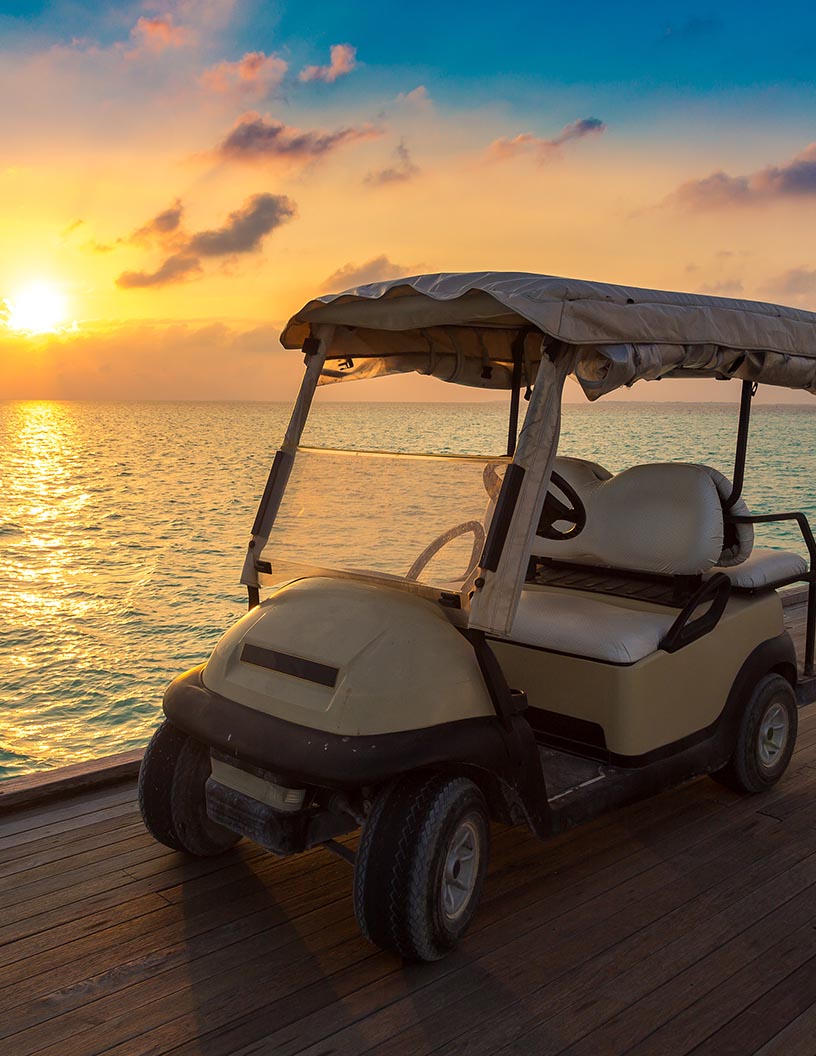 Low-speed Vehicle Market Growth, Size, Trends, Analysis Report by Type, Application, Region and Segment Forecast 2021-2025