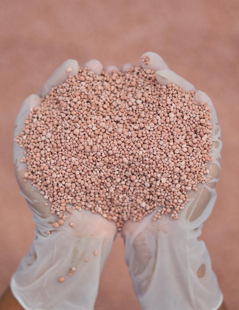 Complex Fertilizers Market by Crop Type and Geography - Forecast and Analysis 2021-2025