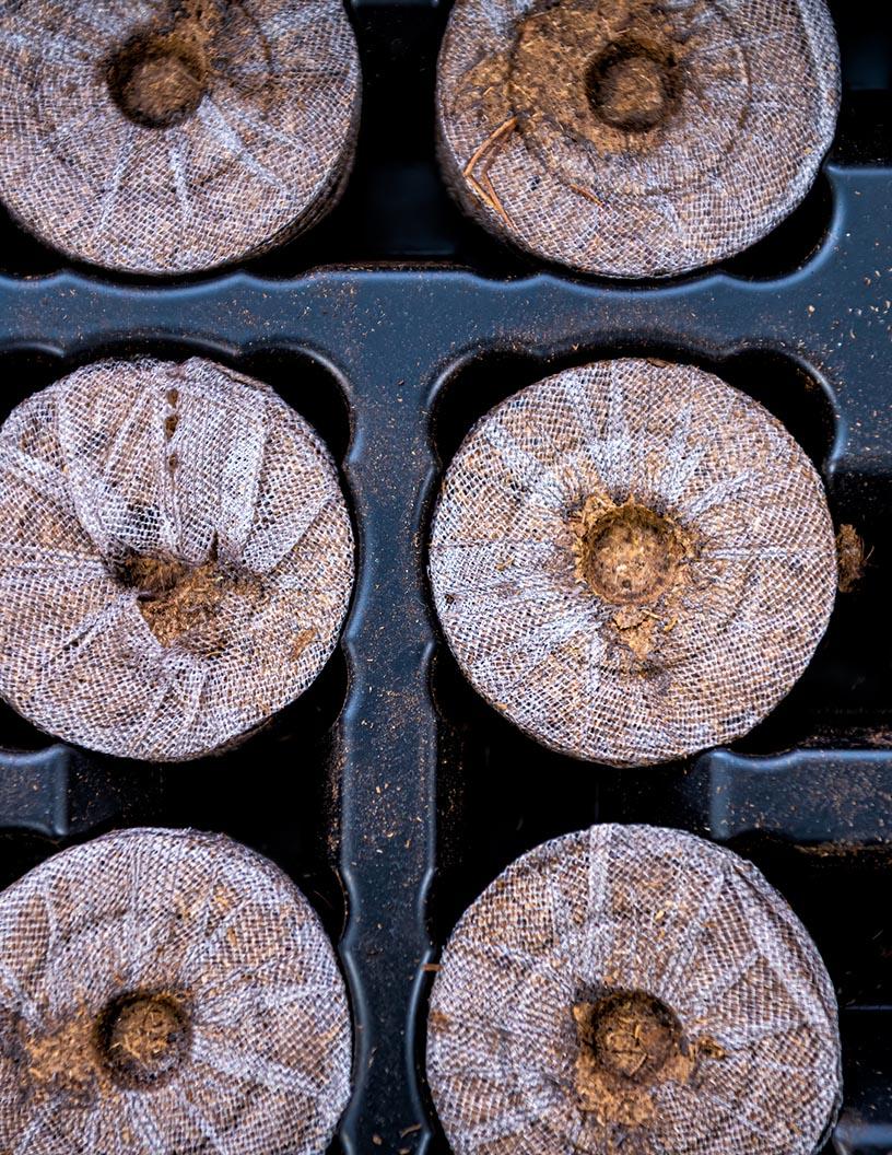 Germination Kits And Trays Market Analysis, Size, and Forecast 2025-2029: North America (US and Canada), Europe (France, Germany, Italy, and UK), Middle East and Africa (Egypt, KSA, Oman, and UAE), APAC (China, India, and Japan), South America (Argentina and Brazil), and Rest of World (ROW)