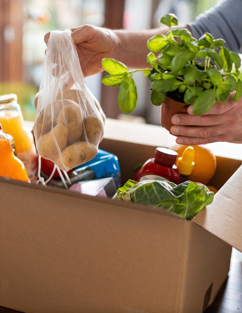 India Online Grocery Market Analysis - Size and Forecast 2025-2029