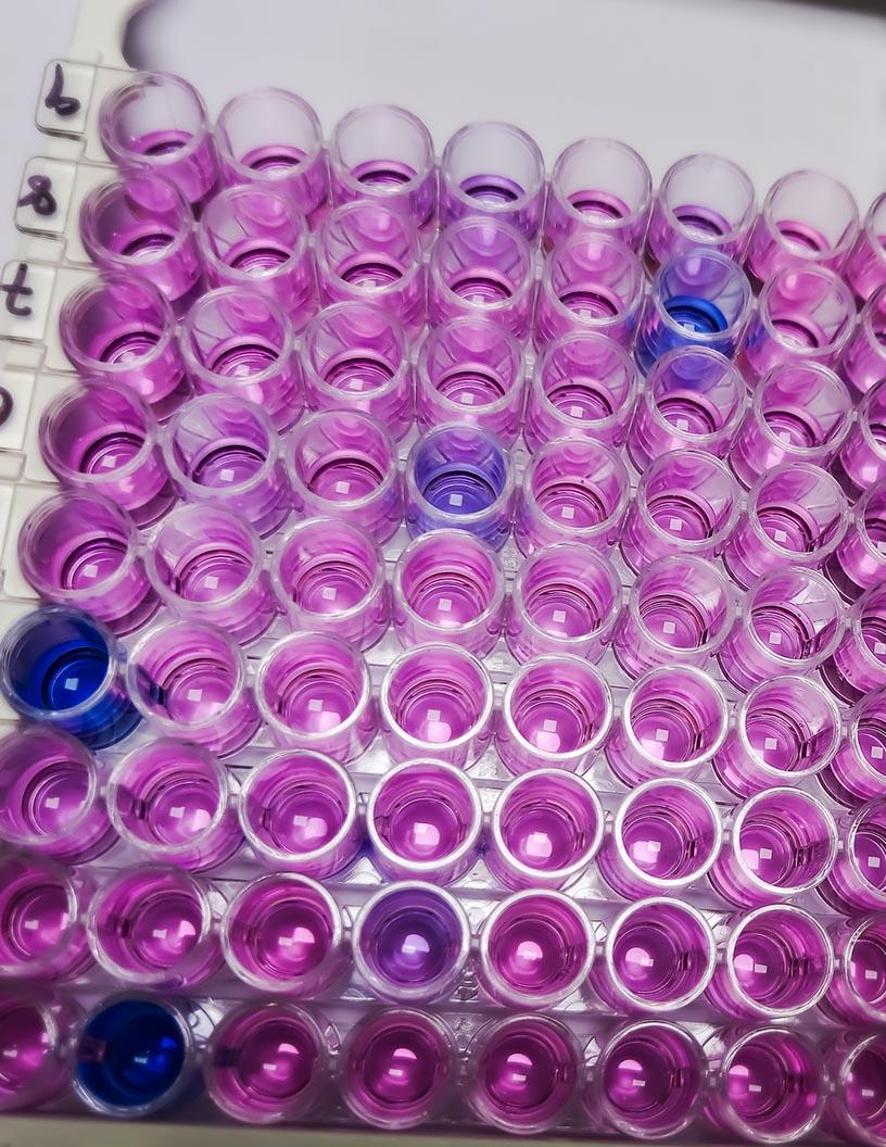 Molecular Biology Enzymes, Kits, And Reagents Market Analysis, Size, and Forecast 2025-2029: North America (US and Canada), Europe (France, Germany, and UK), APAC (China, India, Japan, and South Korea), South America (Brazil), and Rest of World (ROW)