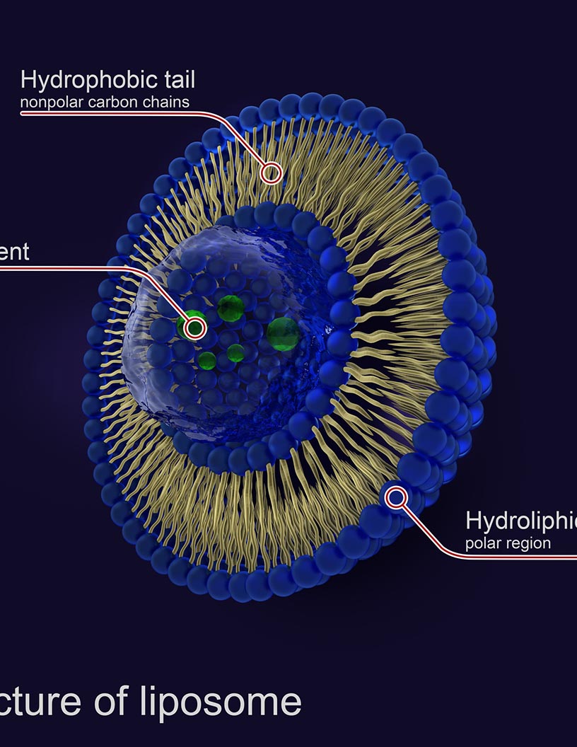 Liposomal Products Market Analysis North America, Europe, Asia, Rest of World (ROW) - US, Germany, China, France, Japan - Size and Forecast 2024-2028