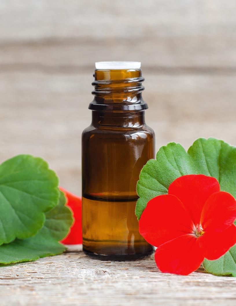 India Geranium Oil Market Analysis, Size, and Forecast 2025-2029