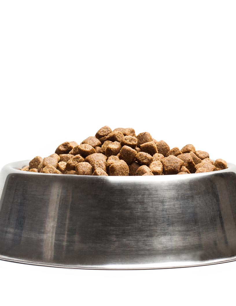 Dog Food Market Analysis, Size, and Forecast 2024-2028: North America (US and Canada), Europe (France, Germany, Italy, and UK), Middle East and Africa (Egypt, KSA, Oman, and UAE), APAC (China, India, and Japan), South America (Argentina and Brazil), and Rest of World (ROW)