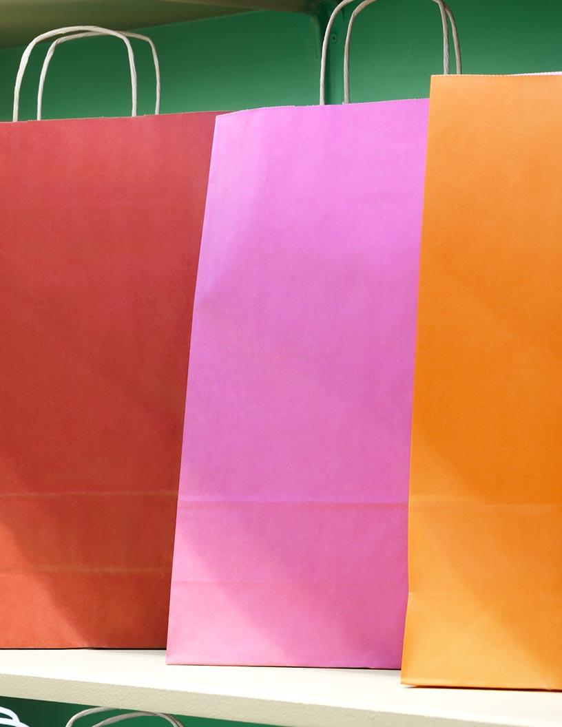 Paper Bag Market Analysis, Size, and Forecast 2025-2029: North America (US and Canada), Europe (France, Germany, Italy, The Netherlands, and UK), APAC (China, India, and Japan), and Rest of World (ROW)