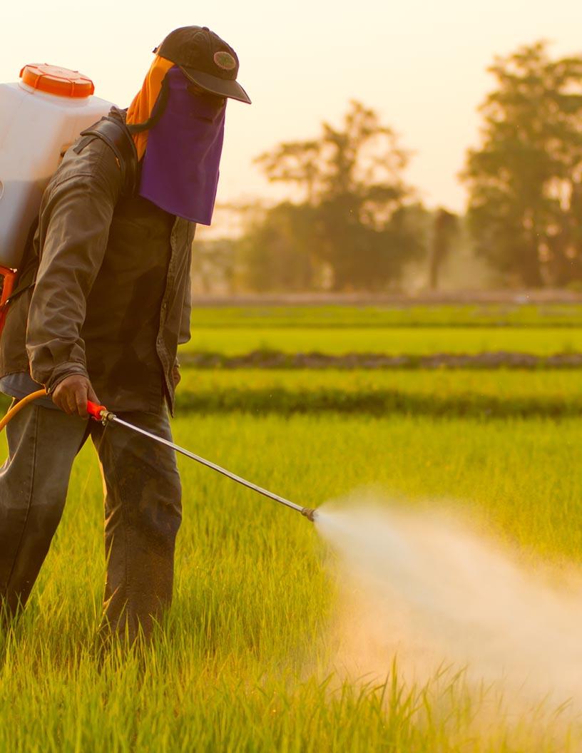 India Pesticide Market Analysis - Size and Forecast 2025-2029