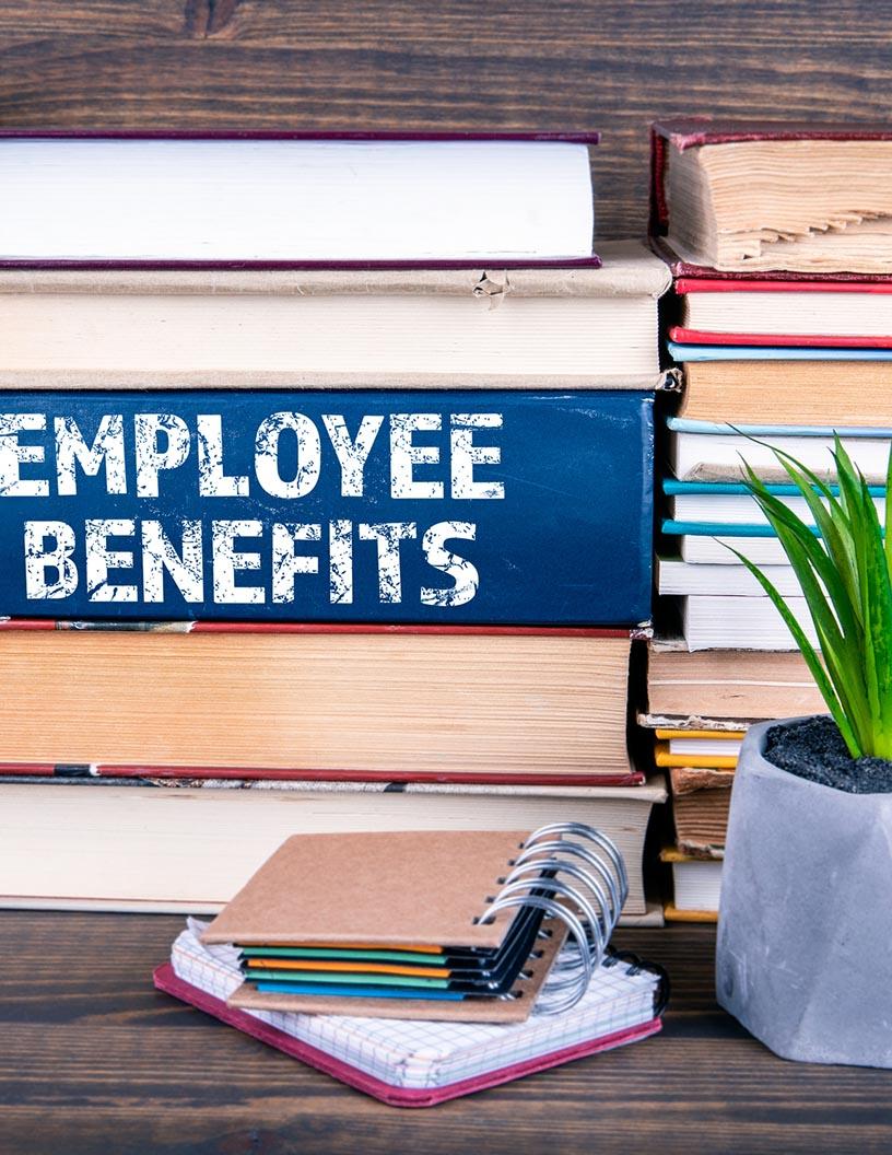 Brazil Meal Vouchers And Employee Benefit Solutions Market Analysis - Size and Forecast 2025-2029