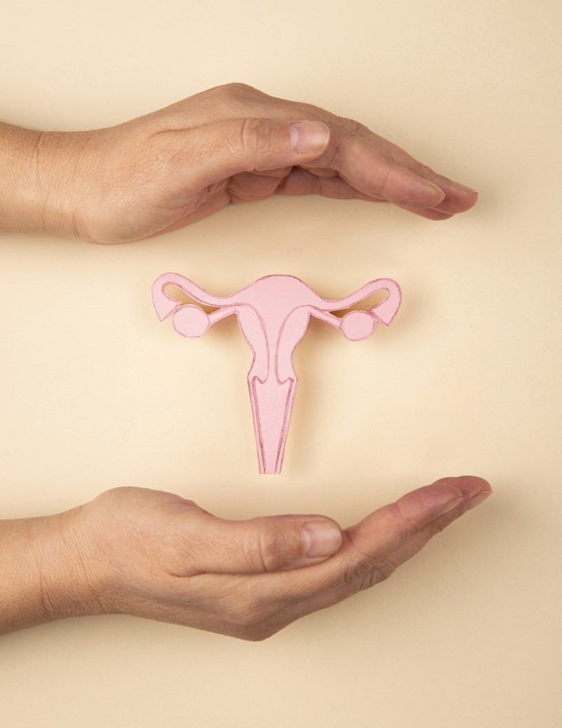 Hysterometers Market Analysis Europe, North America, Asia, Rest of World (ROW) - US, Germany, UK, France, China - Size and Forecast 2024-2028