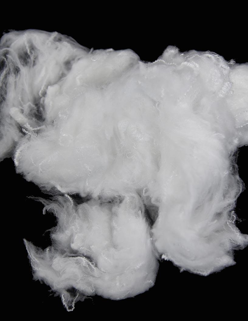 Polyester Staple Fiber (PSF) Market Analysis, Size, and Forecast 2025-2029: APAC (China, India, Indonesia, Japan, South Korea), North America (US and Canada), Europe (Germany, Italy), South America , and Middle East and Africa (Turkey)