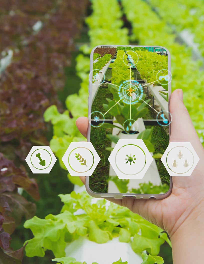 Connected Agriculture Market Analysis, Size, and Forecast 2024-2028: North America (US, Canada), Europe (Germany, UK, Italy, France), APAC (China, India, Japan), South America (Brazil), Middle East & Africa