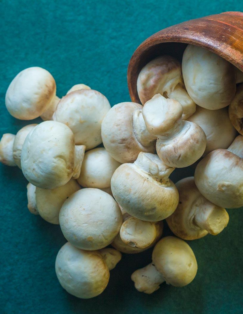 Mushroom Market Analysis, Size, and Forecast 2024-2028: North America (US and Canada), Europe (France, Germany, Italy, and UK), Middle East and Africa (Egypt, KSA, Oman, and UAE), APAC (China, India, and Japan), South America (Argentina and Brazil), and Rest of World (ROW)