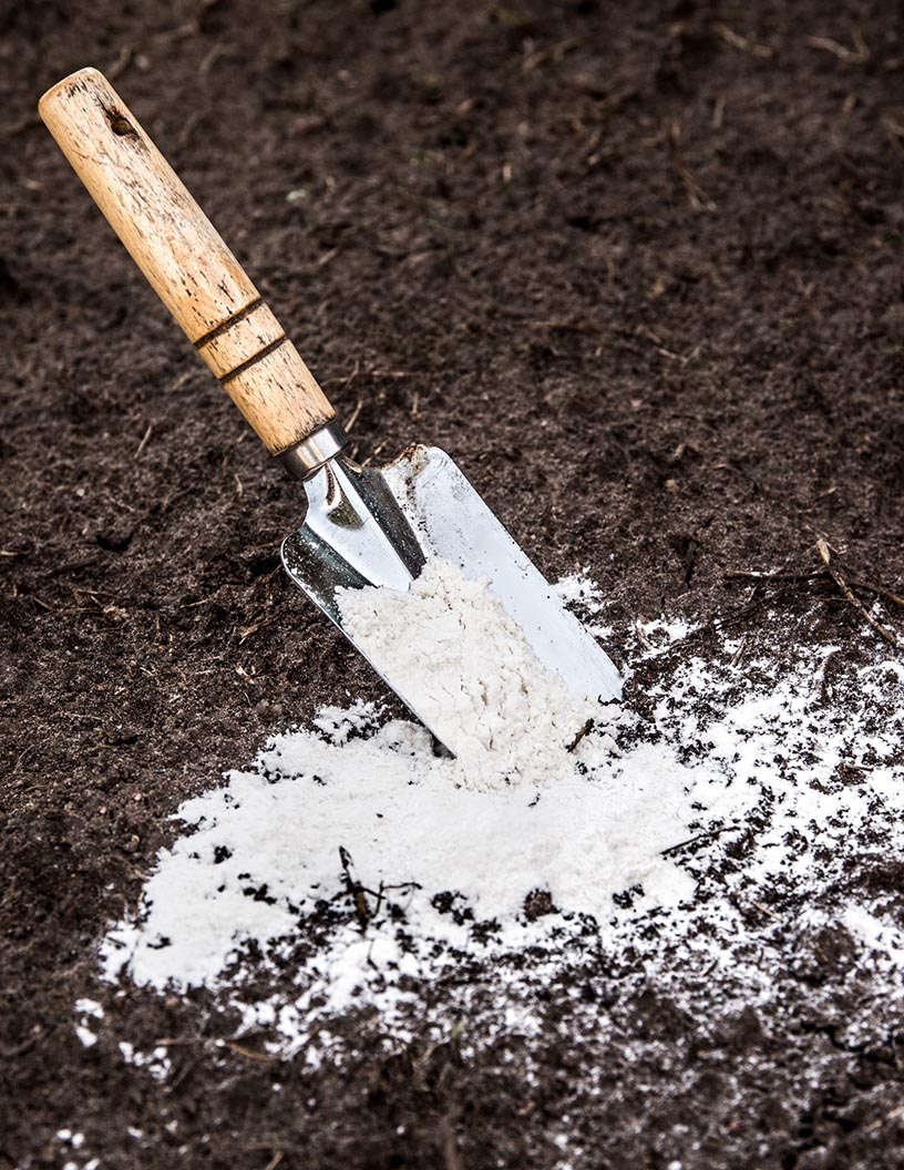 Limestone for Agriculture Market by Material and Geography - Forecast and Analysis 2021-2025