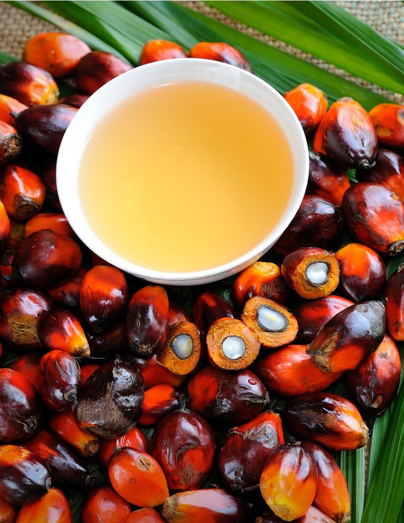 Palm Oil Market Analysis APAC, Middle East and Africa, Europe, North America, South America - Indonesia, India, China, Pakistan, Malaysia, Saudi Arabia, UAE, Qatar, UK, Germany - Size and Forecast 2025-2029