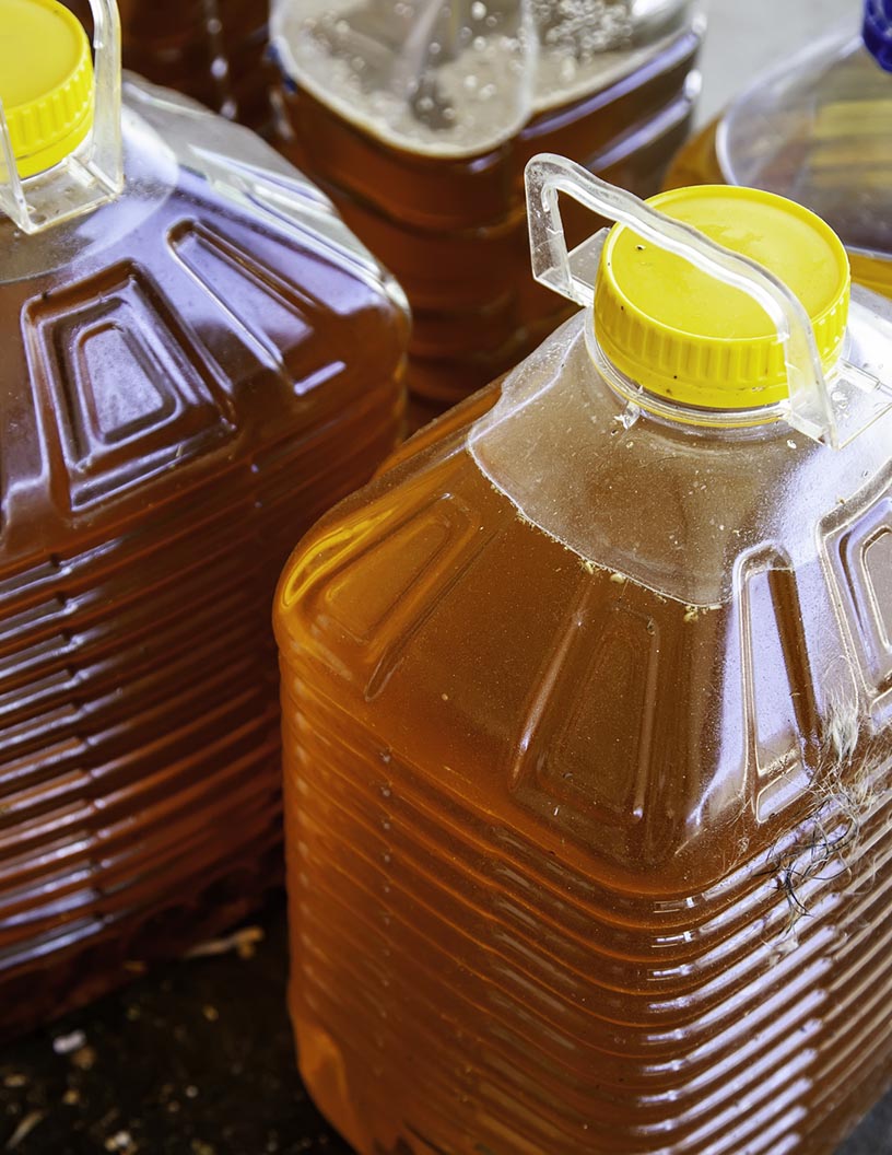 Used Cooking Oil Market by Application and Geography - Forecast and Analysis 2022-2026