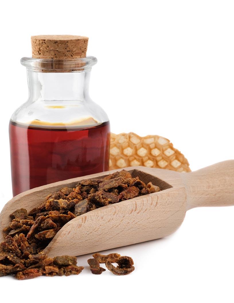Propolis Market Analysis, Size, and Forecast 2025-2029: North America (US and Canada), Europe (France, Germany, Italy, Spain, and UK), APAC (China, India, and Japan), and Rest of World (ROW)