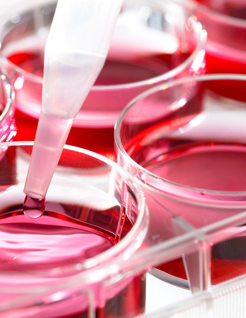 Carbohydrase Market by Application and Geography - Forecast and Analysis 2021-2025