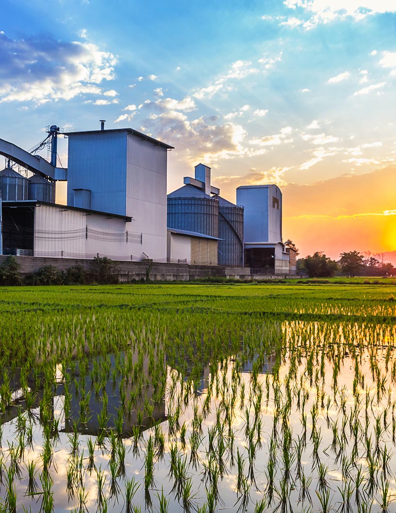 Rice Milling Market in India by Capacity and Application - Forecast and Analysis 2022-2026