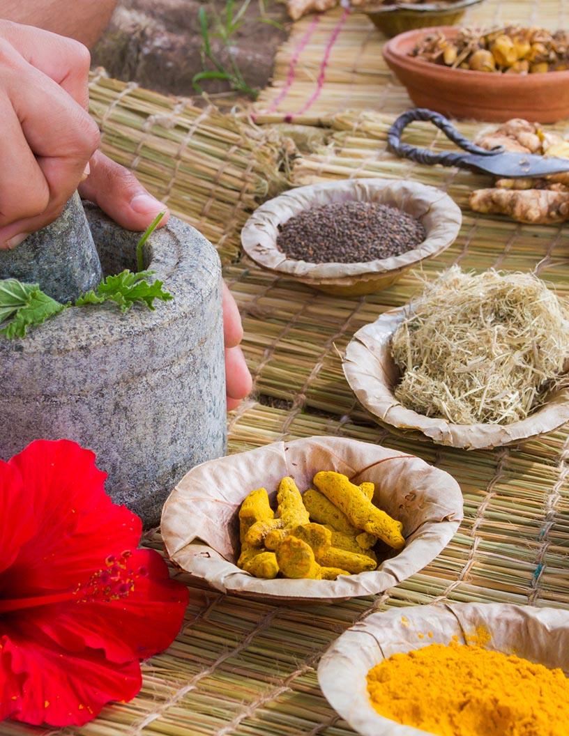 Ayurveda Market Analysis Asia, North America, Europe, Rest of World (ROW) - India, US, Indonesia, The Netherlands, UAE, Nepal, France, Switzerland, Saudi Arabia, Brazil - Size and Forecast 2025-2029