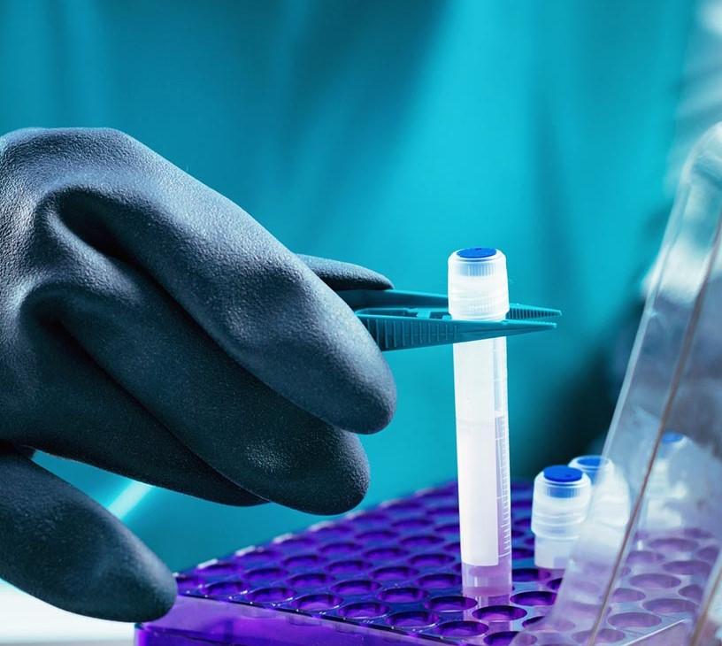 Stem Cell Banking Market Analysis, Size, and Forecast 2025-2029: North America (US and Canada), Europe (France, Germany, Spain, and UK), APAC (China, India, Japan, and South Korea), and Rest of World (ROW)