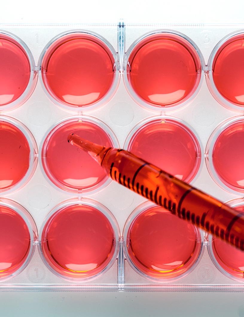 Food Nanotechnology Market by Application and Geography - Forecast and Analysis 2021-2025