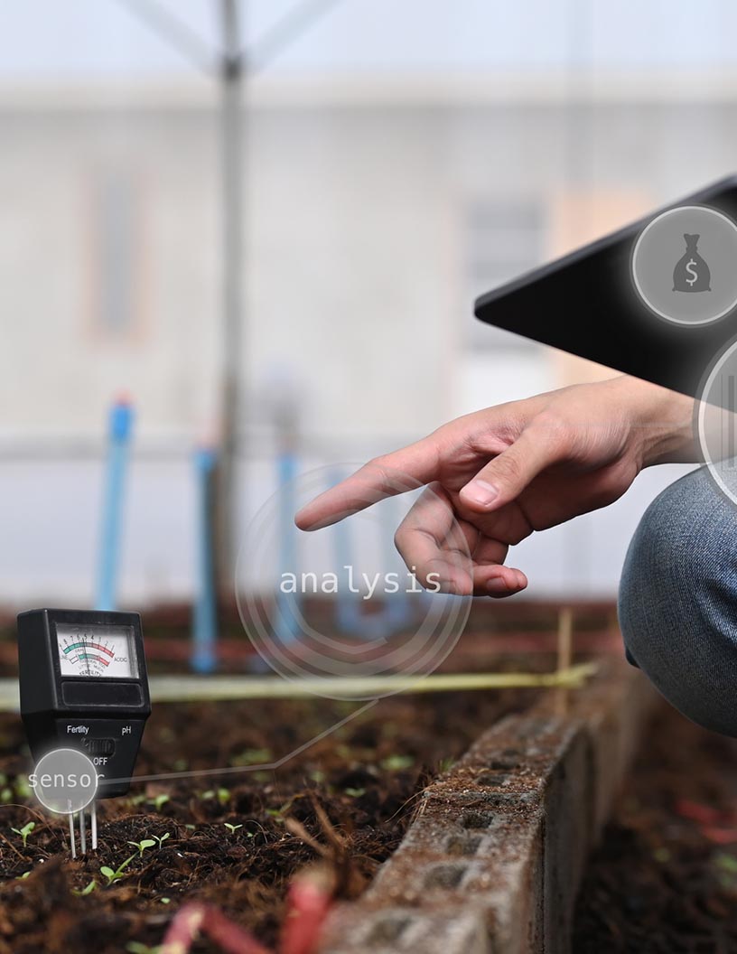 Smart Soil Moisture Sensor Market by Product, Distribution Channel, Application, and Geography - Forecast and Analysis 2021-2025