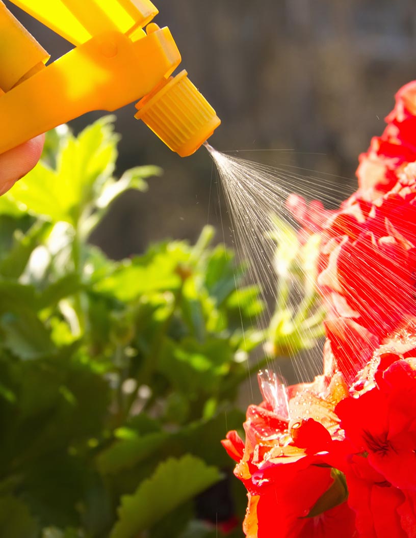 Liquid Fertilizer Market Analysis APAC, North America, Europe, South America, Middle East and Africa - China, US, India, Germany, France - Size and Forecast 2024-2028