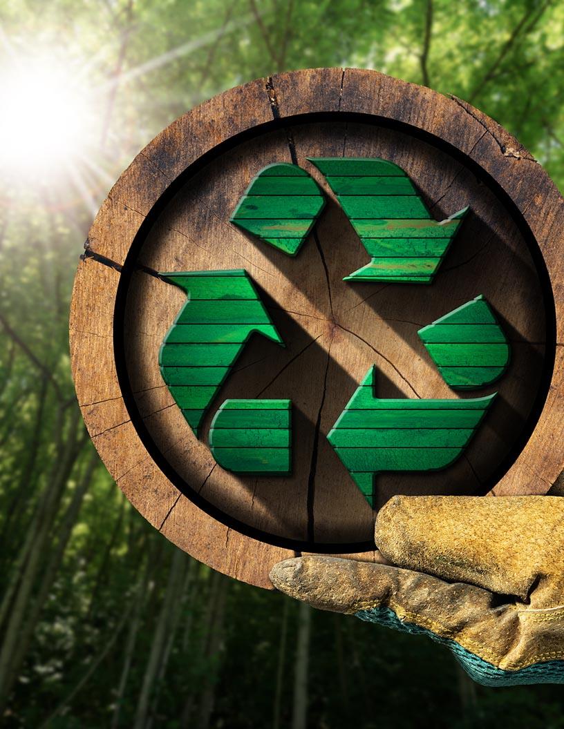 Wood Recycling Market Analysis, Size, and Forecast 2025-2029: North America (US and Canada), Europe (France, Germany, Italy, and UK), APAC (China, India, and Japan), South America (Brazil), and Rest of World (ROW)