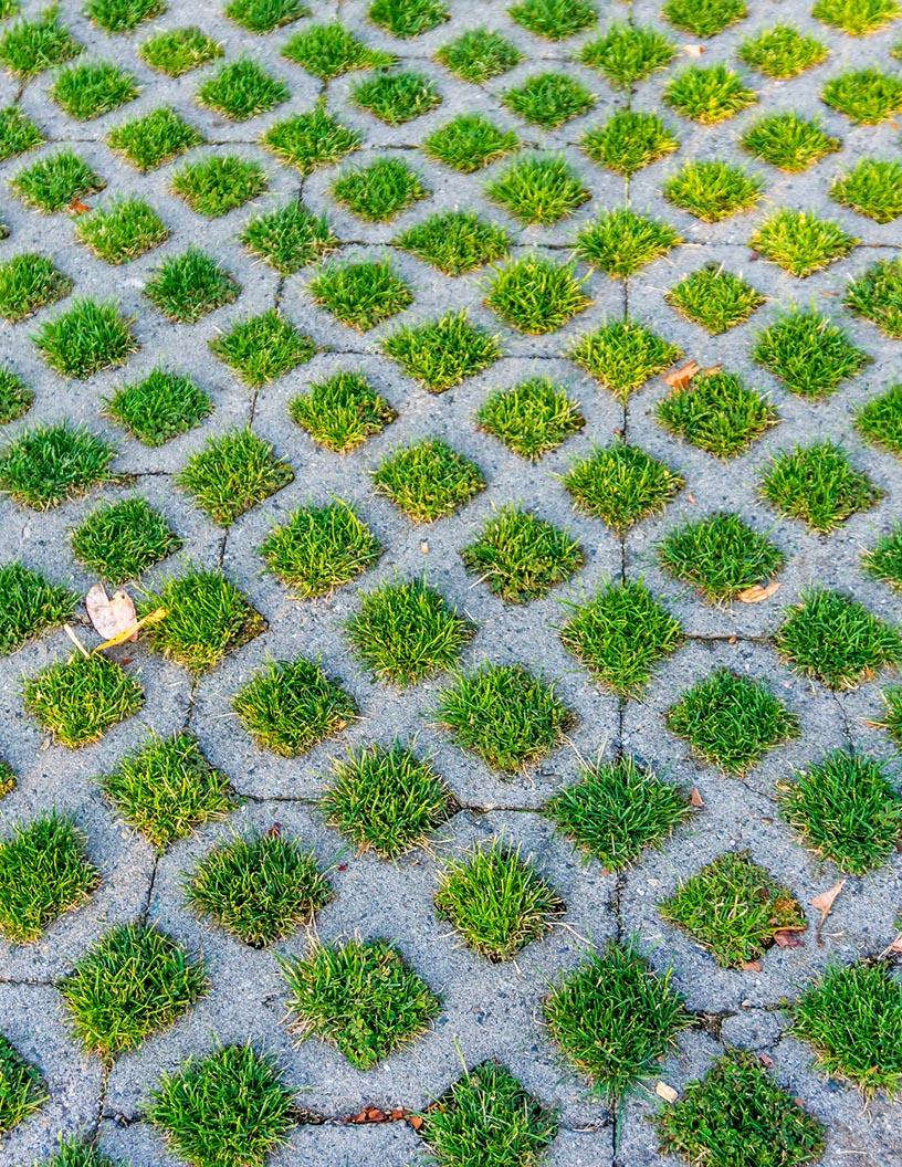 Pervious Pavement Market Analysis, Size, and Forecast 2025-2029: Europe (Belgium, France, Germany, UK), North America (US and Canada), APAC (China, India, Japan), South America (Brazil), and Middle East and Africa