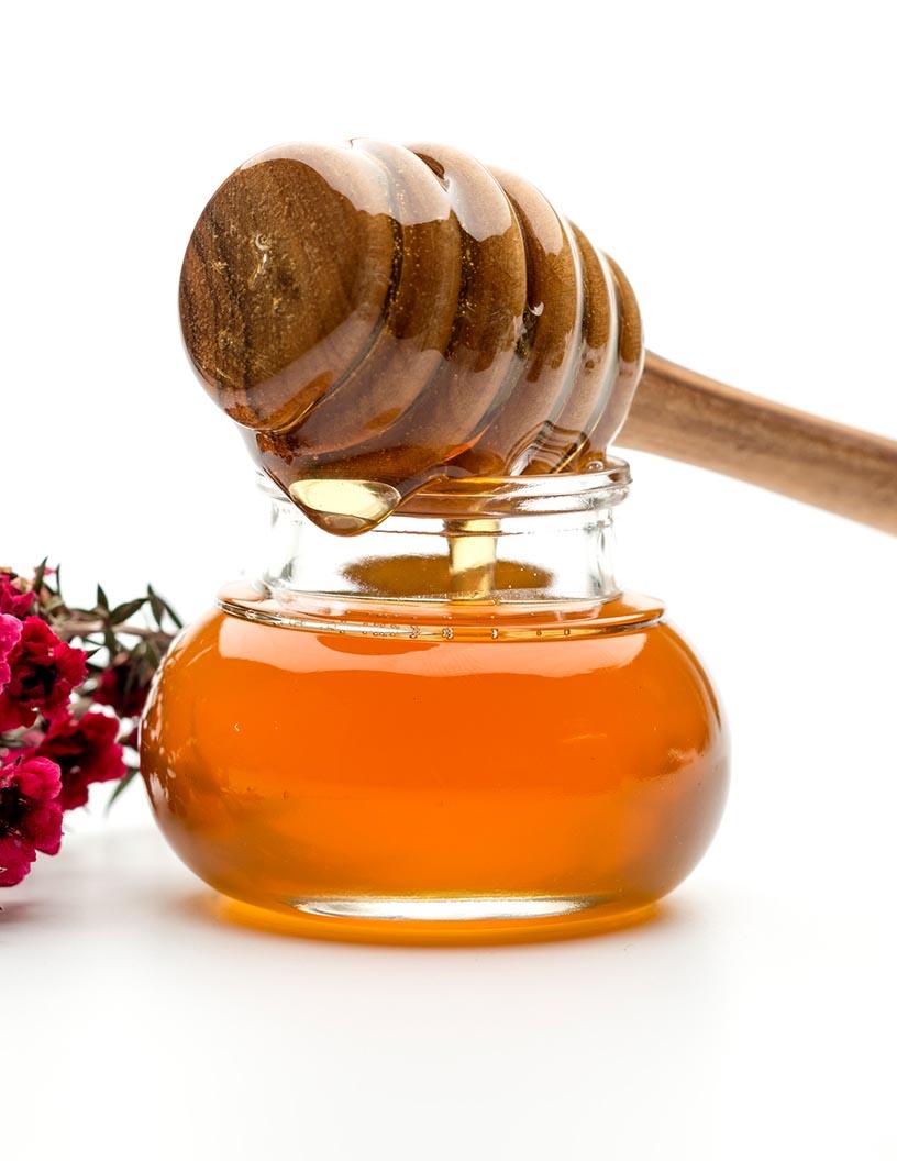 Manuka Honey Market Analysis, Size, and Forecast 2025-2029: North America (US), Europe (France, Germany, Italy, and UK), APAC (Australia, China, India, Japan, and New Zealand), and Rest of World (ROW)