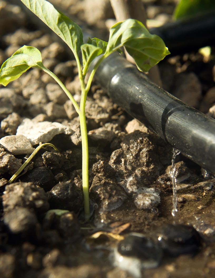 Micro Irrigation Systems Market by Product, Application, and Geography - Forecast and Analysis 2021-2025