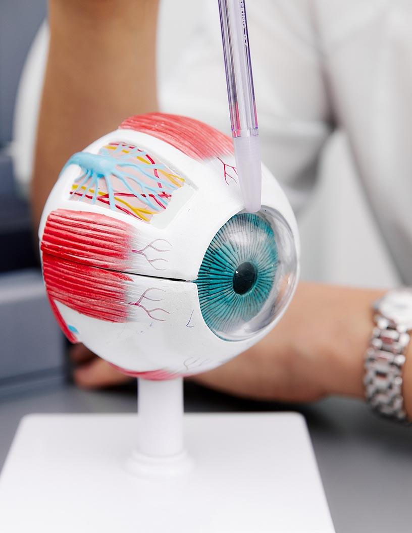 Artificial Retina Market Analysis North America, Europe, Asia, Rest of World (ROW) - US, Germany, Spain, Canada, France - Size and Forecast 2024-2028