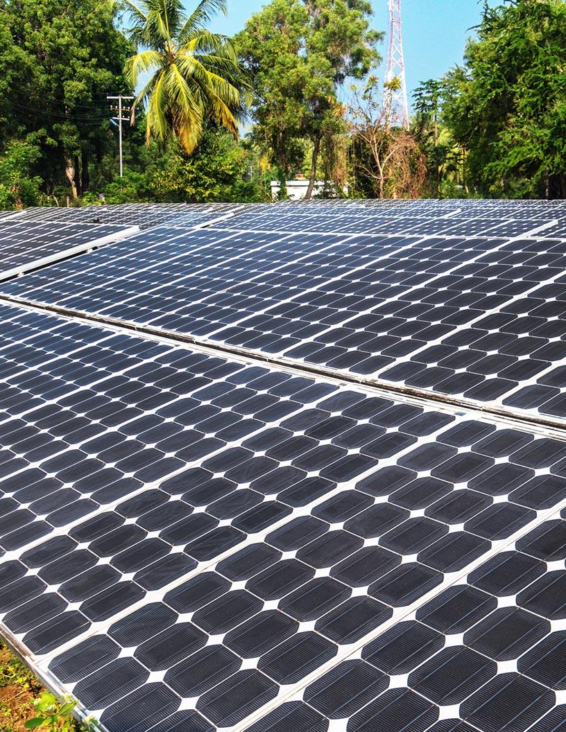 South Africa Solar Energy Market Analysis, Size, and Forecast 2025-2029