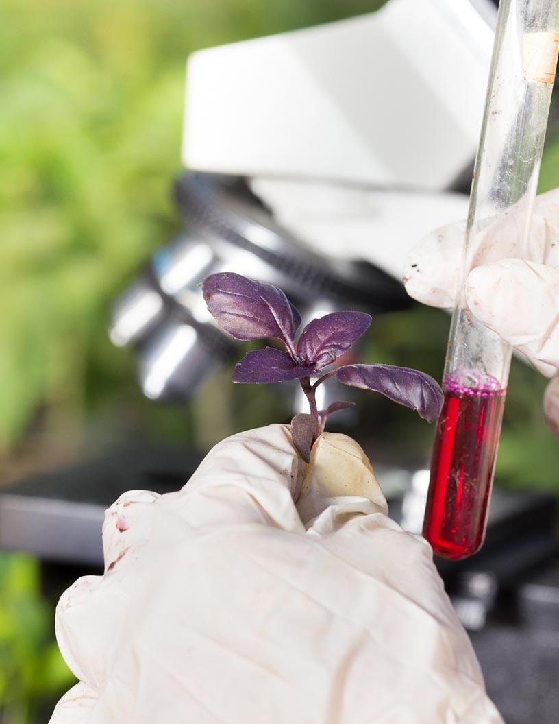 Canada Agrochemicals Market Analysis - Size and Forecast 2024-2028