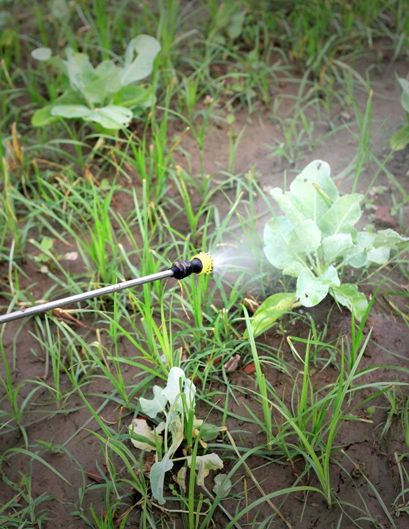 Europe Acaricides Market Analysis - Size and Forecast 2024-2028