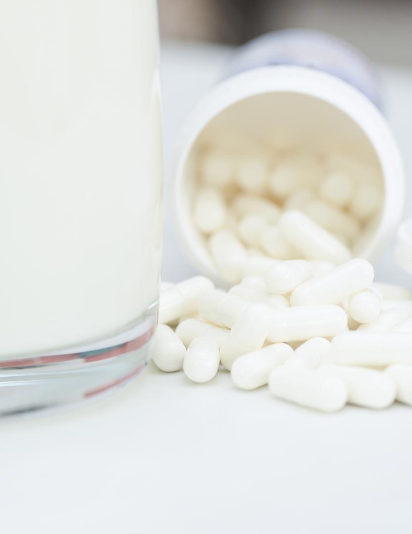 Canada|North America Food Enzymes Market Analysis, Size, and Forecast 2024-2028