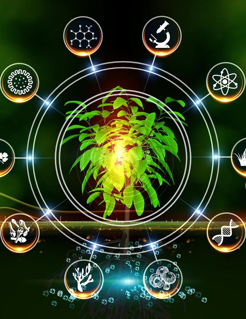 Colombia Agriculture Market Analysis - Size and Forecast 2024-2028