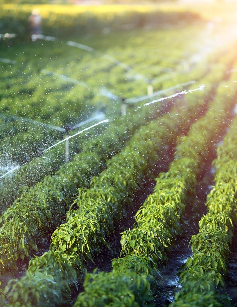 US Agricultural Irrigation Machinery Market Analysis - Size and Forecast 2024-2028