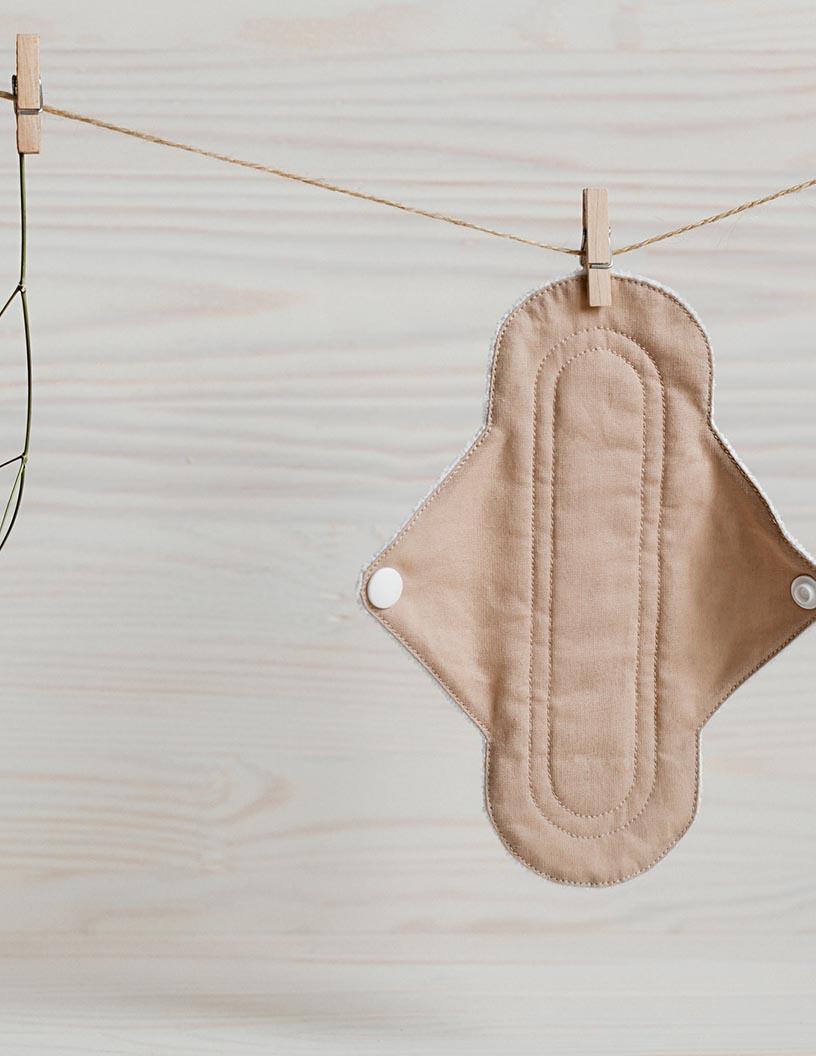 Organic Sanitary Napkins Market Analysis, Size, and Forecast 2025-2029: North America (US and Canada), Europe (France, Germany, Italy, The Netherlands, UK), APAC (China, India, Japan), South America , and Middle East and Africa